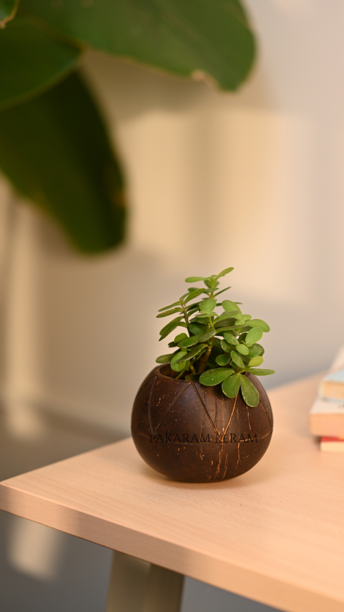 Happy Birthday (Instagram Story)